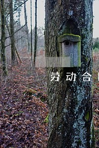 劳动合同法 27.5 劳动合同法 27.5